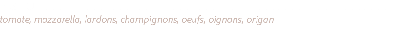 RUSTIQUE ....................................................................................................................................................................................................................................................................
tomate, mozzarella, lardons, champignons, oeufs, oignons, origan