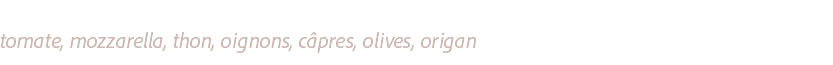 SICILIANA ..................................................................................................................................................................................................................................................................
tomate, mozzarella, thon, oignons, câpres, olives, origan