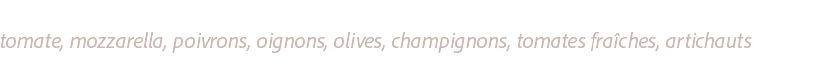 VEGETARIENNE ..................................................................................................................................................................................................................................................
tomate, mozzarella, poivrons, oignons, olives, champignons, tomates fraîches, artichauts