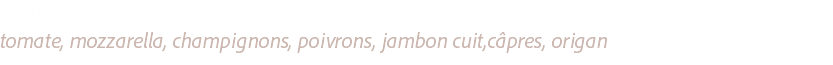 QUATRE SAISONS ...........................................................................................................................................................................................................................................
tomate, mozzarella, champignons, poivrons, jambon cuit,câpres, origan